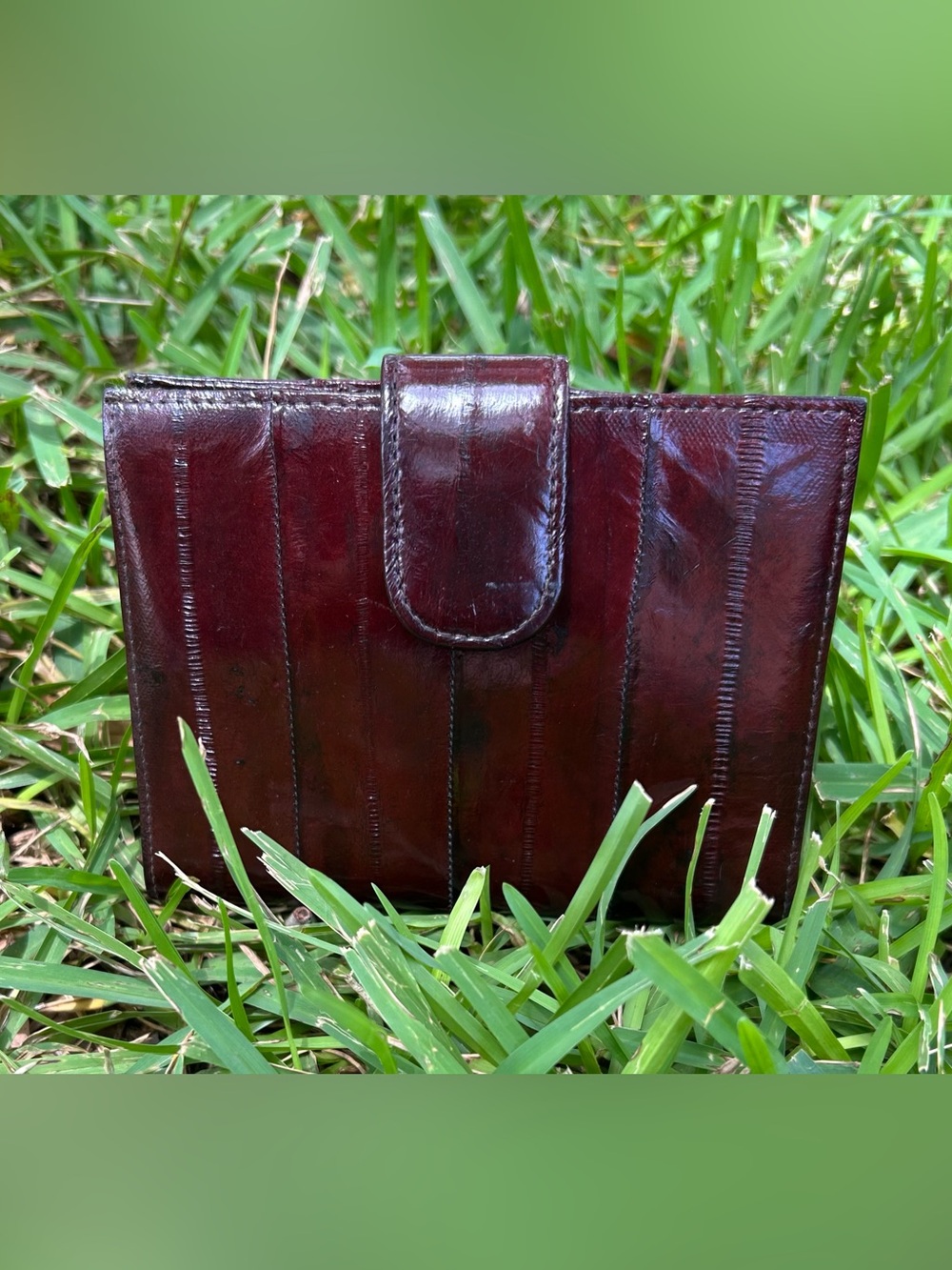 Vintage Burgundy Eel Wallet